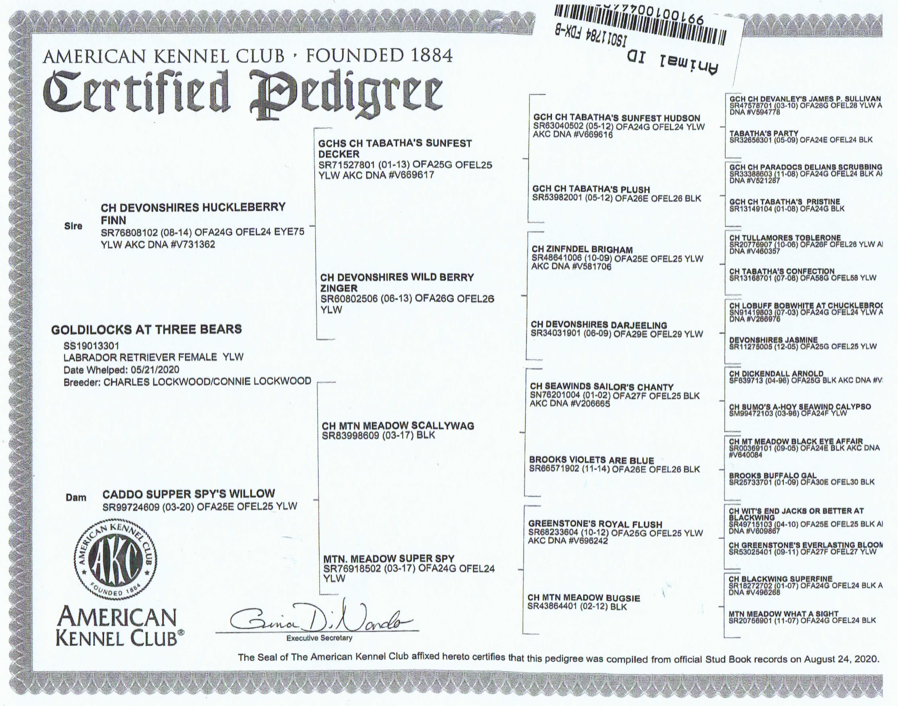 Goldilocks-Pedigree-min.jpg