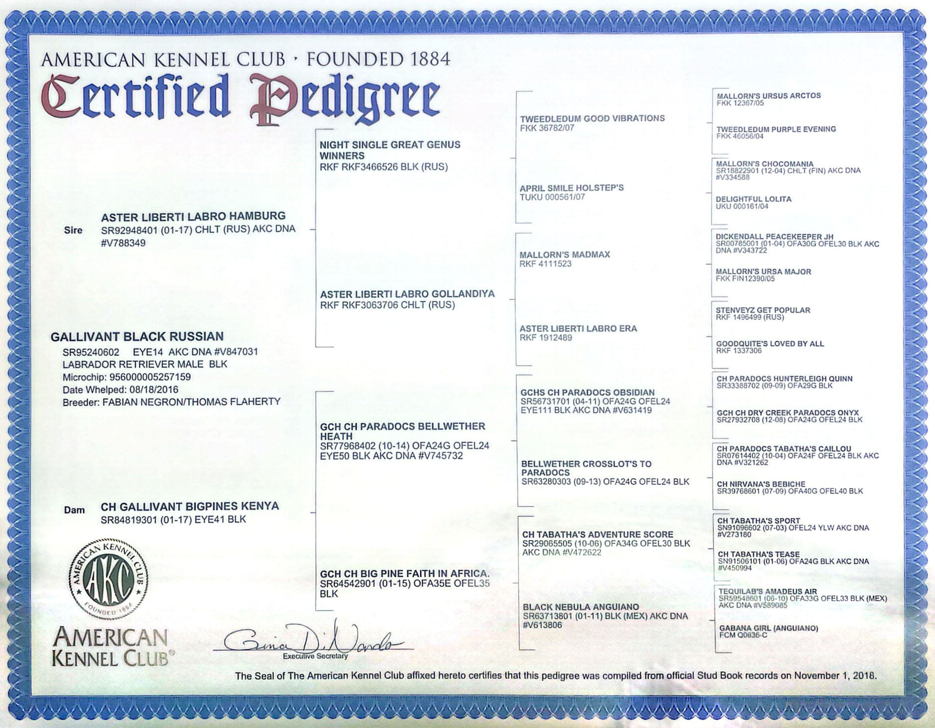 Russ-pedigree.jpg